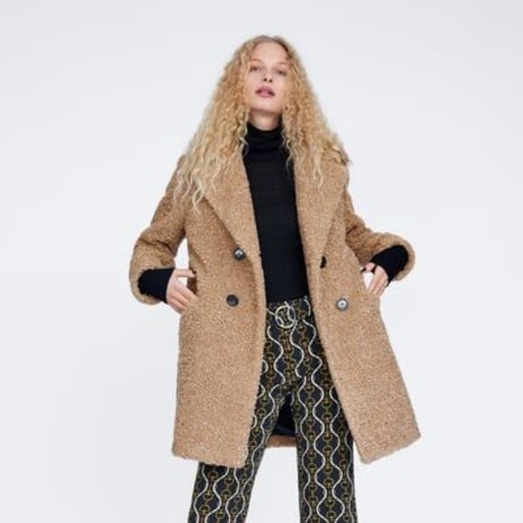 Zara Jackets & Blazers - Zara Shearling Textured Teddy Coat